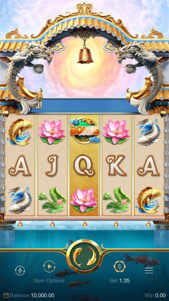 play frank casino